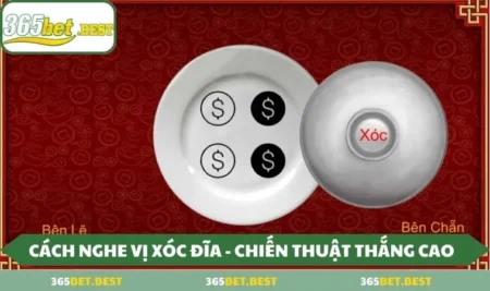 Cách nghe vị xóc đĩa